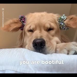 Meet your Posher, Robyn